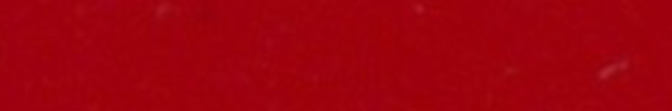 Pigment Red 146 full shade